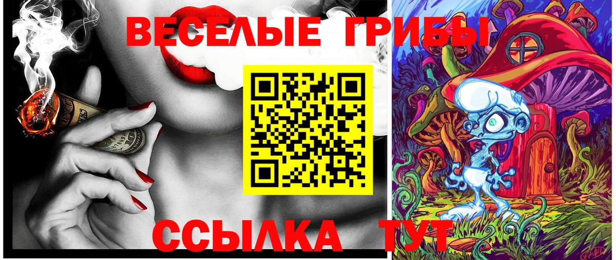 Галлюциногенные грибы Magic Shrooms  Вход с VPN  Тихорецк  Галлюциногенные грибы ЛСД 