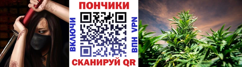 Бошки марихуана индика  Тихорецк 